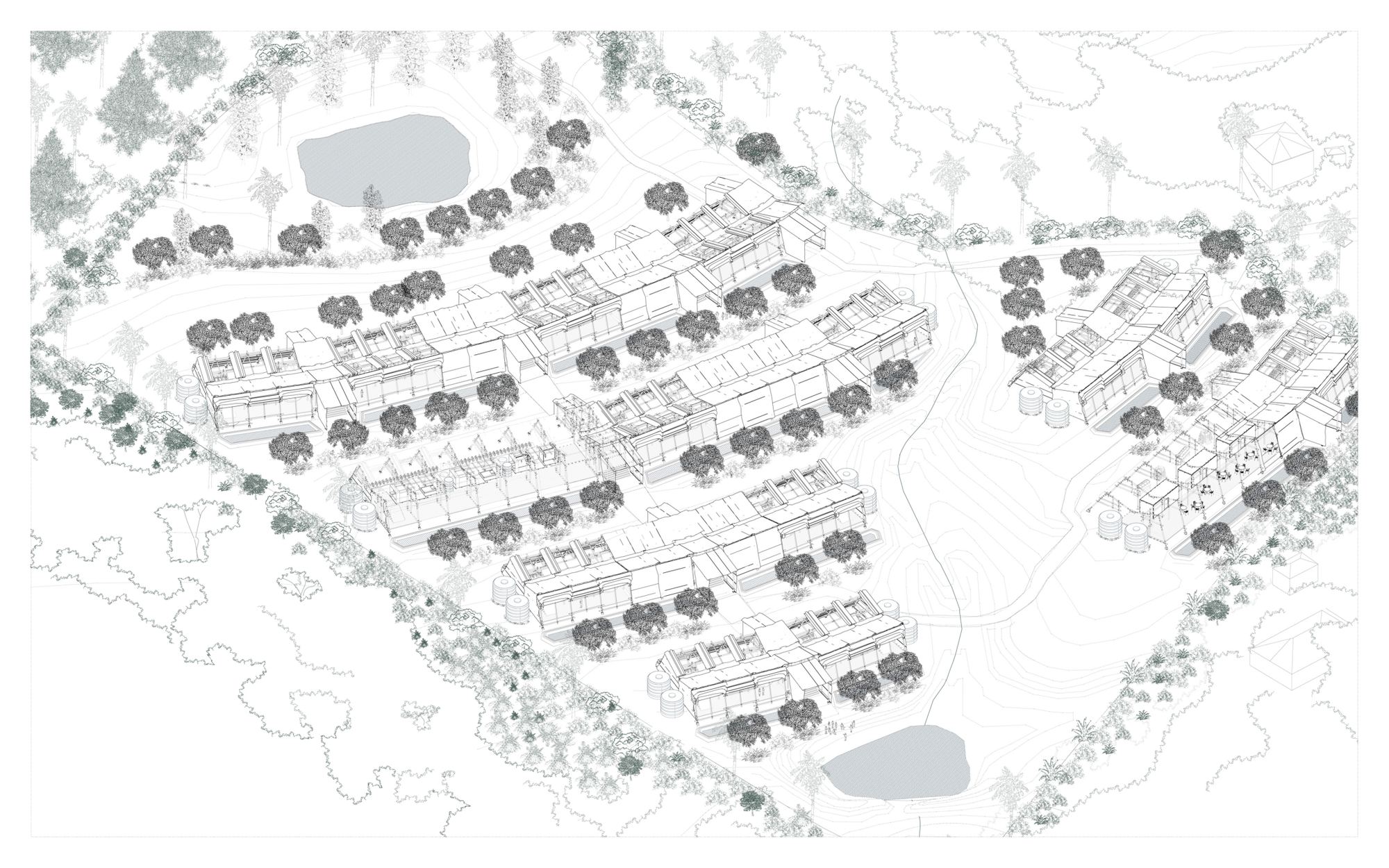 Site plan of the farm with agroforestry plots